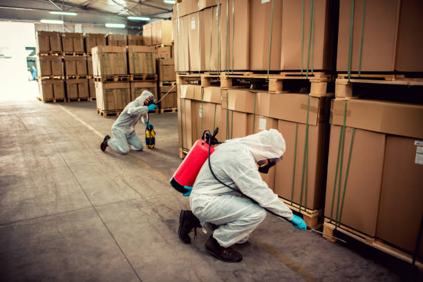 Best Affordable Pest Control Services  in Union, KY