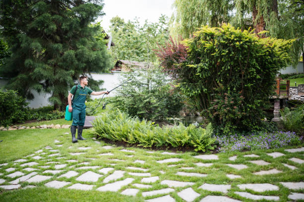 Best Wasp Removal Services  in Union, KY