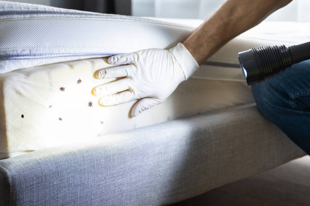 Best Pest Inspection Near Me  in Union, KY